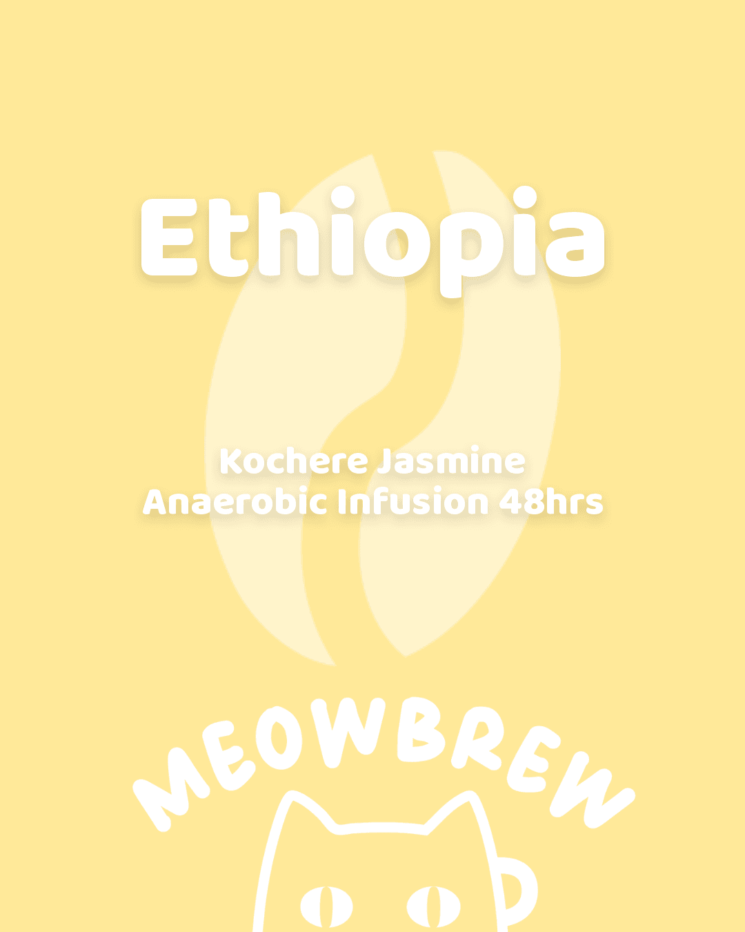 Ethiopia Kochere Jasmine Anaerobic Infusion 48hrs Heirloom