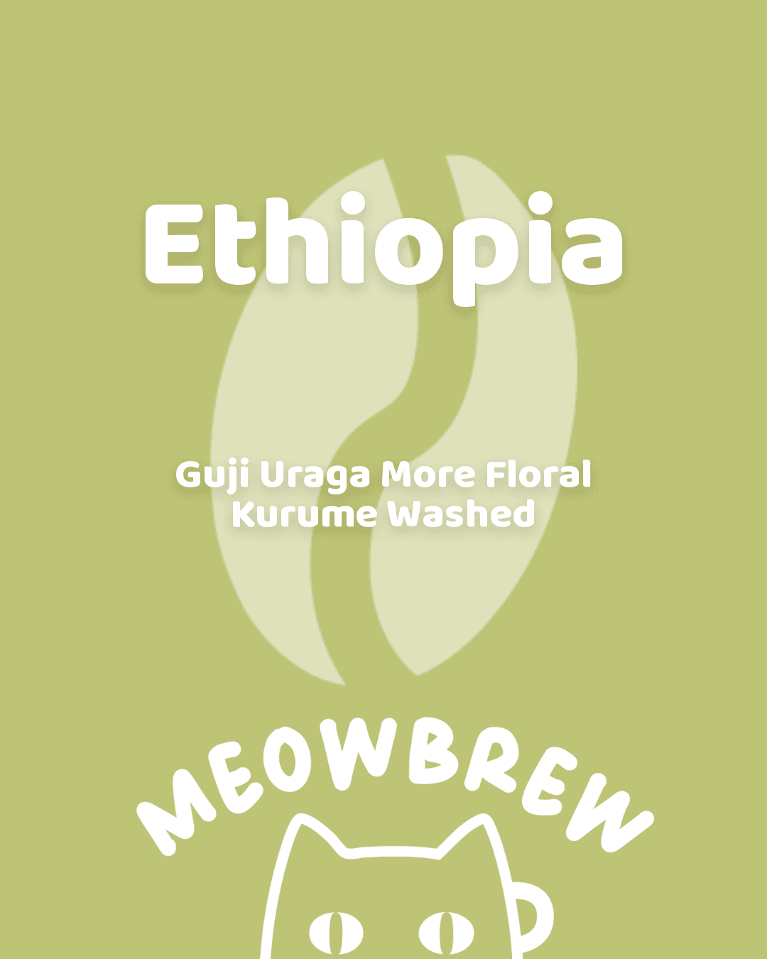 Ethiopia Guji Uraga More Floral Kurume TOP G1 Washed