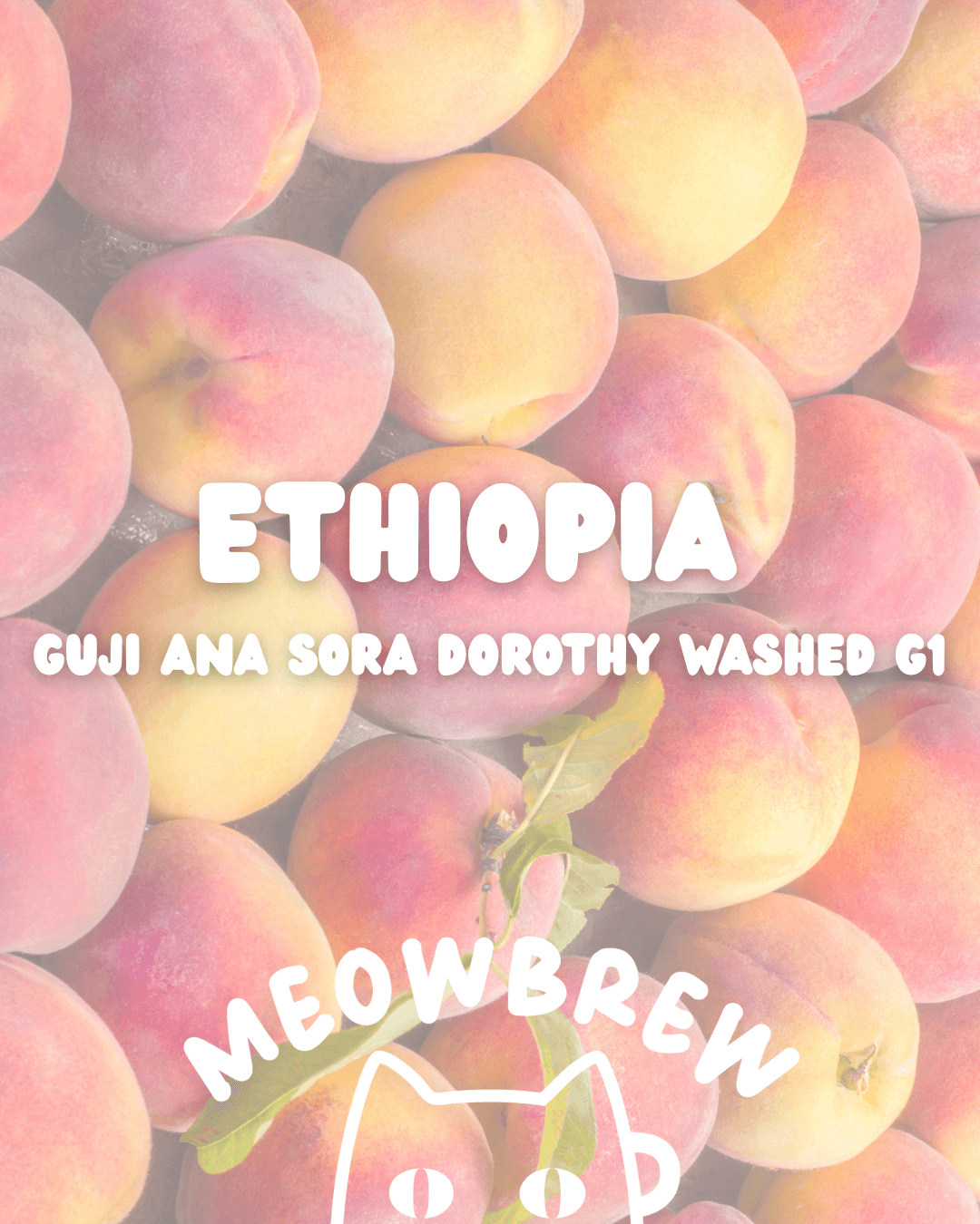 Ethiopia Guiji Ana Sora Dorothy Washed G1 🍑