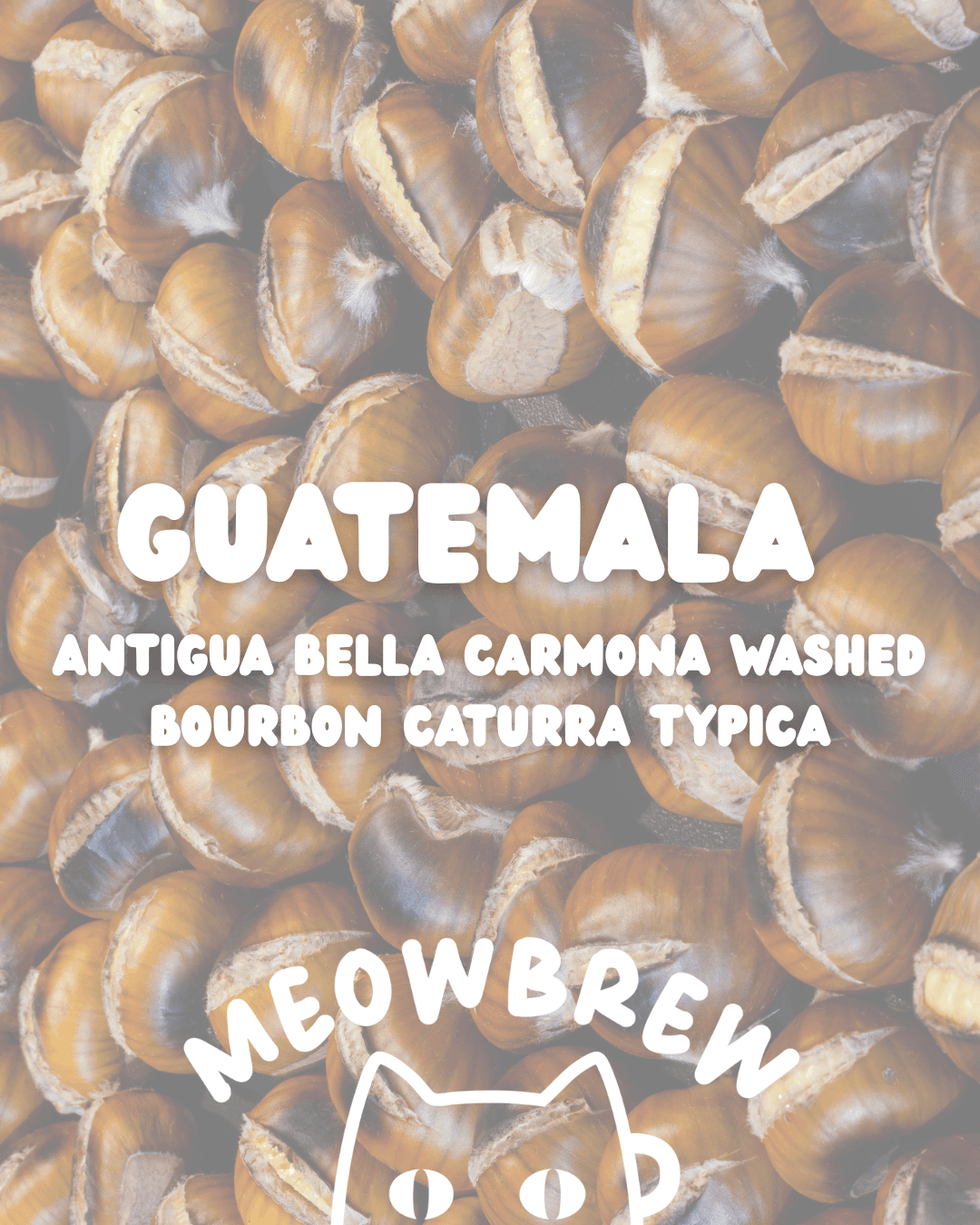Guatemala Antigua Bella Carmona Washed Bourbon Caturra Typica 🌰
