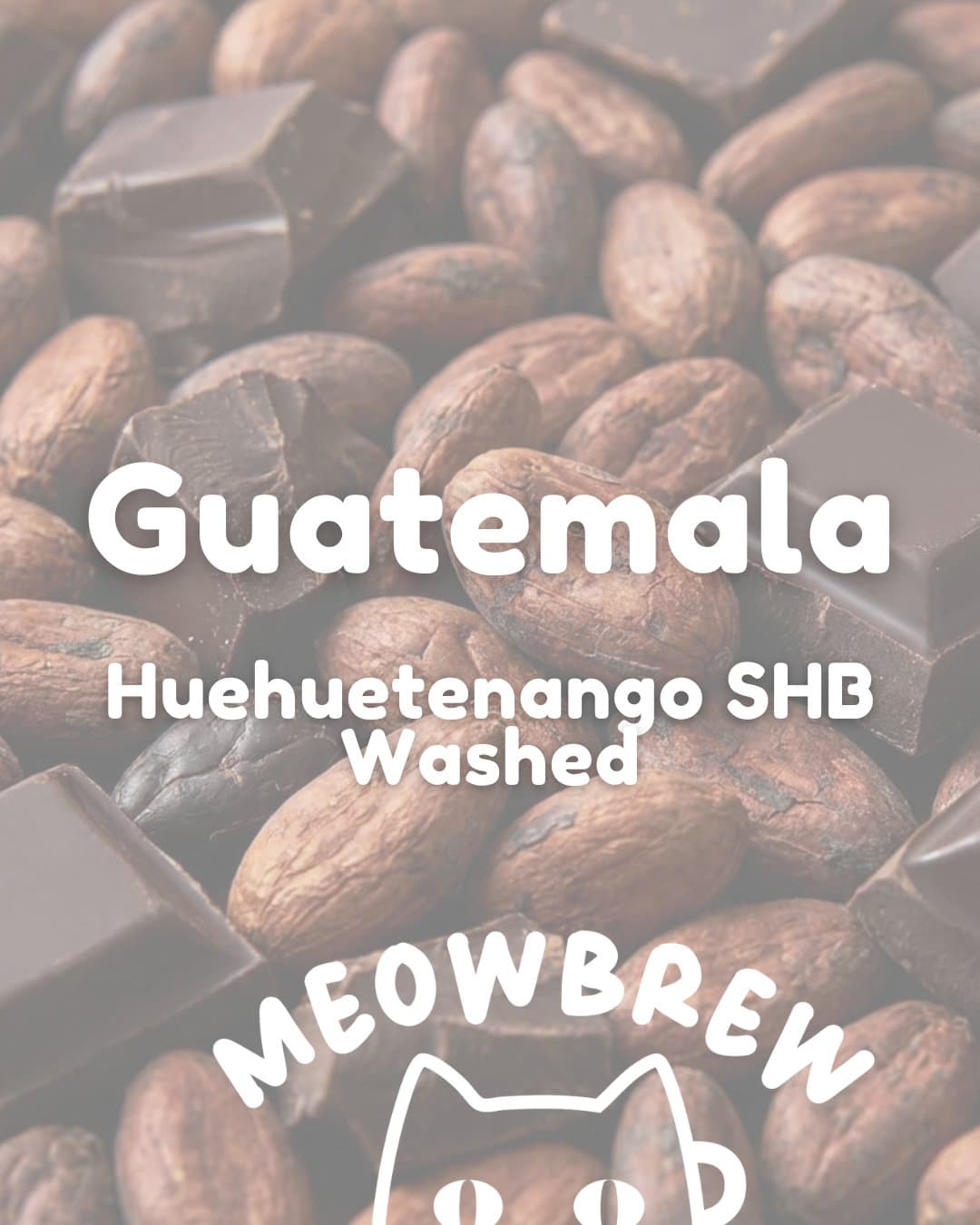Guatemala Huehuetenango SHB Washed